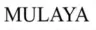 Mulaya