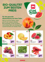 MPREIS MPREIS: Flugblatt Vorarlberg - ab 17.07.2025
