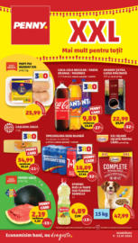 Catalog PENNY până în data de 15.07.2025