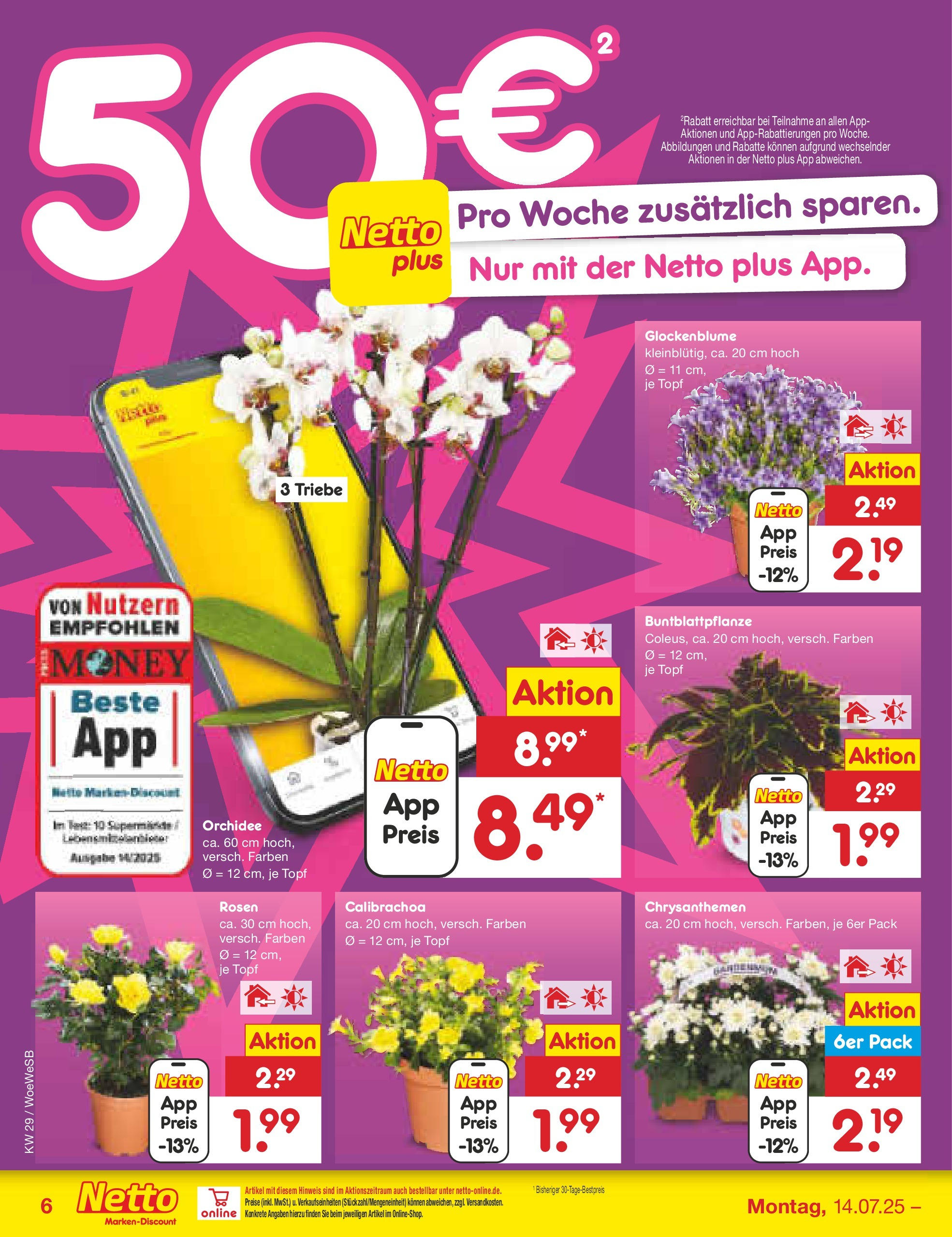 Netto Marken-Discount prospekt Katzweiler (ab 13.07.2025) » Angebote | Seite: 6 | Produkte: Orchidee Netto Marken-Discount prospekt Katzweiler (ab 13.07.2025) » Angebote | Seite: 6 | Produkte: Orchidee