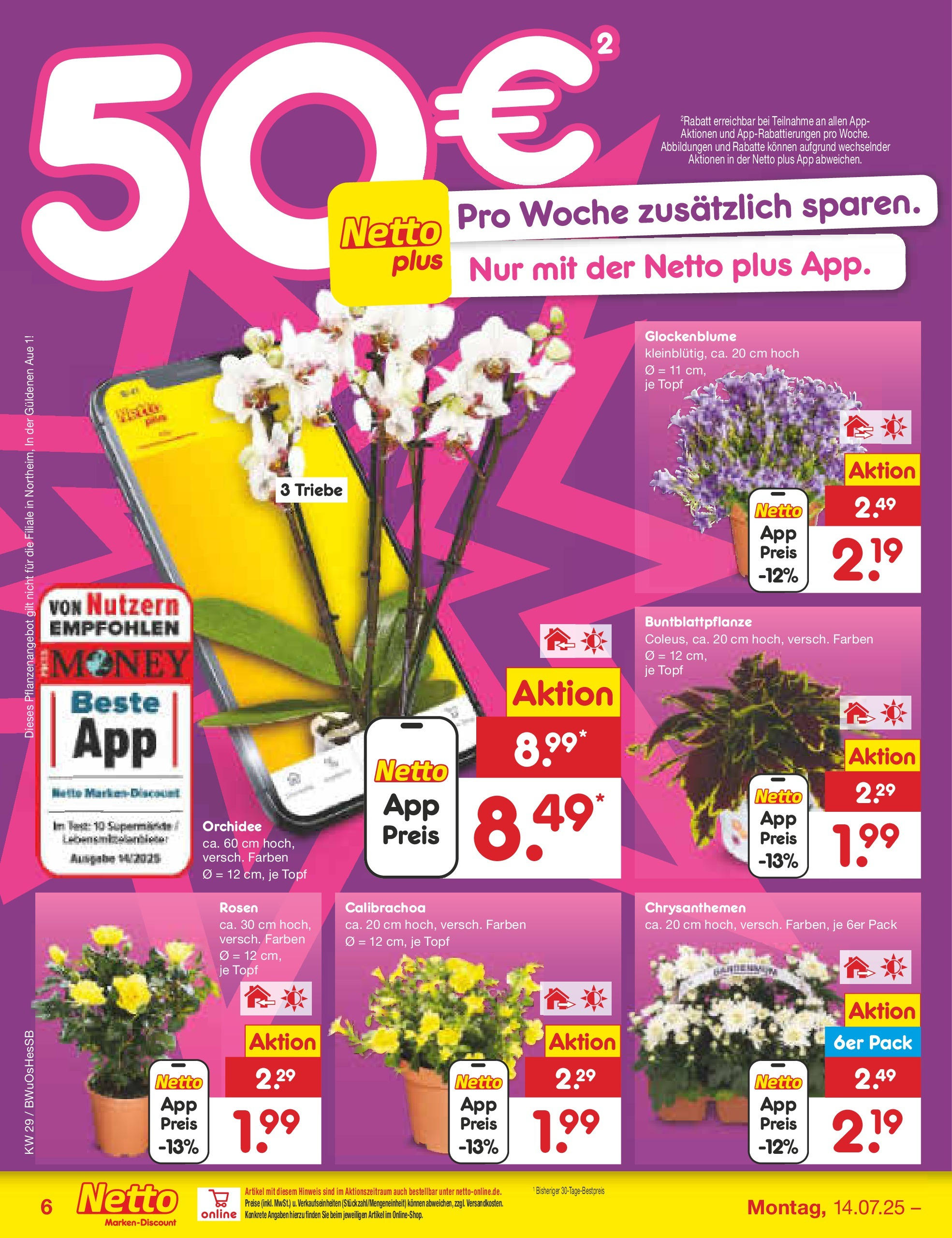 Netto Marken-Discount prospekt Osterode (ab 13.07.2025) » Angebote | Seite: 6 | Produkte: Orchidee Netto Marken-Discount prospekt Osterode (ab 13.07.2025) » Angebote | Seite: 6 | Produkte: Orchidee