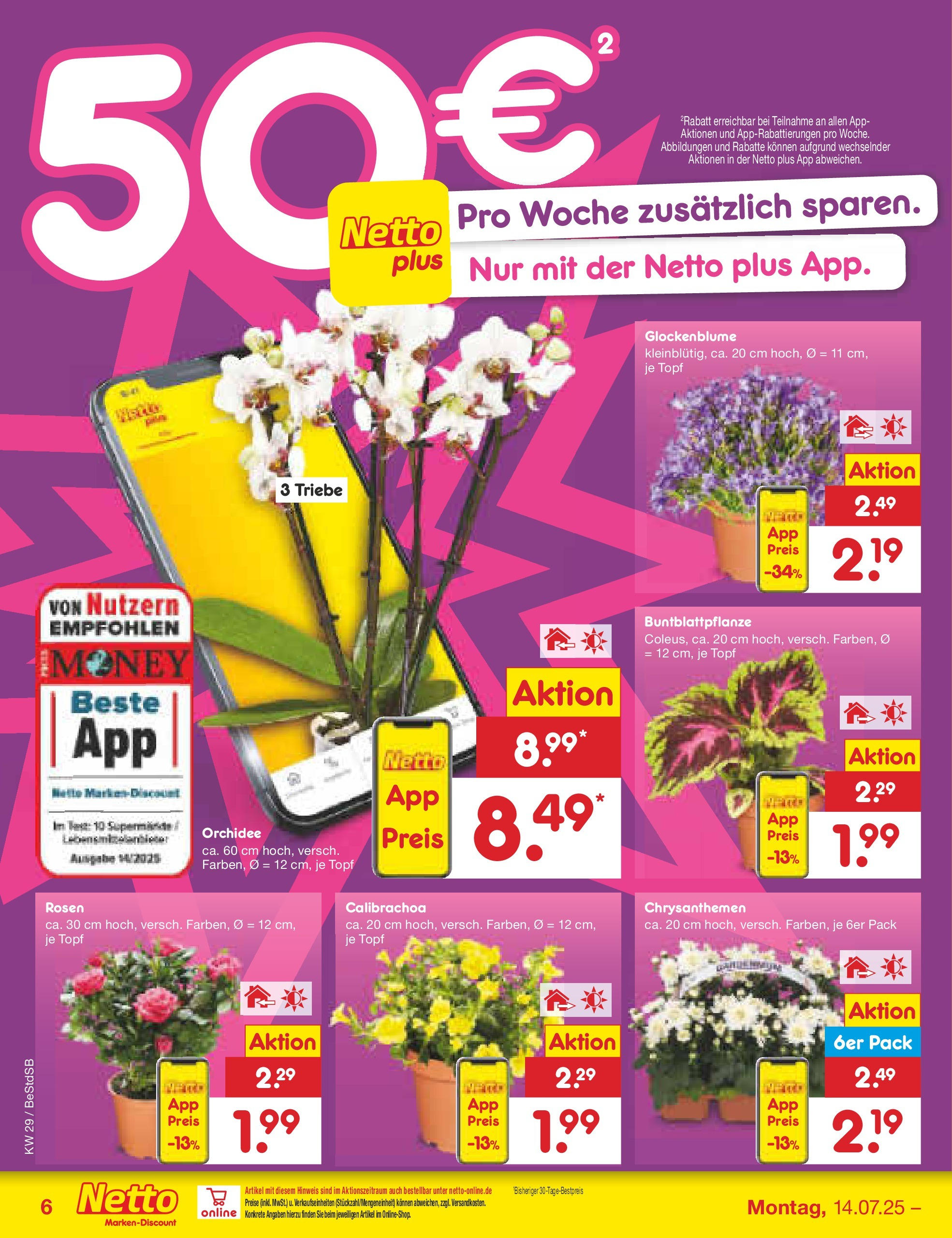 Netto Marken-Discount prospekt Berlin-Spandau (ab 13.07.2025) » Angebote | Seite: 6 | Produkte: Orchidee Netto Marken-Discount prospekt Berlin-Spandau (ab 13.07.2025) » Angebote | Seite: 6 | Produkte: Orchidee
