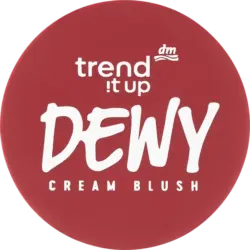 trend !t up Blush Dewy Cream 040