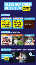 HOFER: Flugblatt
