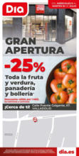 Gran apertura Dia del 09/07 al 15/07