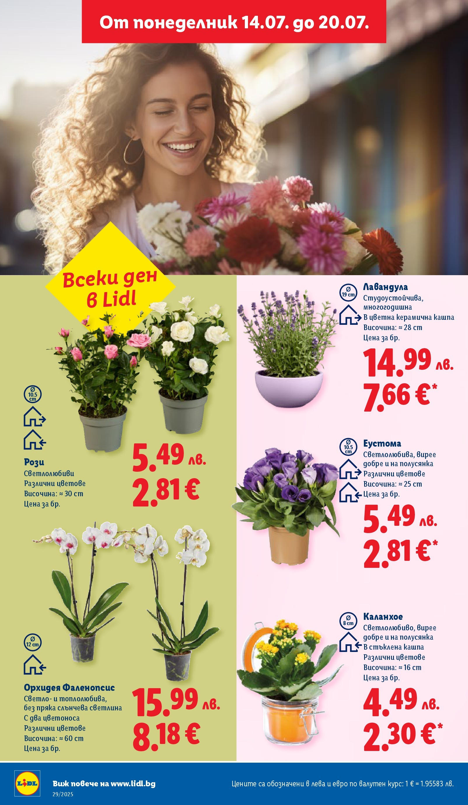 Лидл брошура от 14.07.2025 - LIDL broshura "Cедмична брошура на Лидл" | Страница: 40 | Продукти: Кашпа, Орхидея