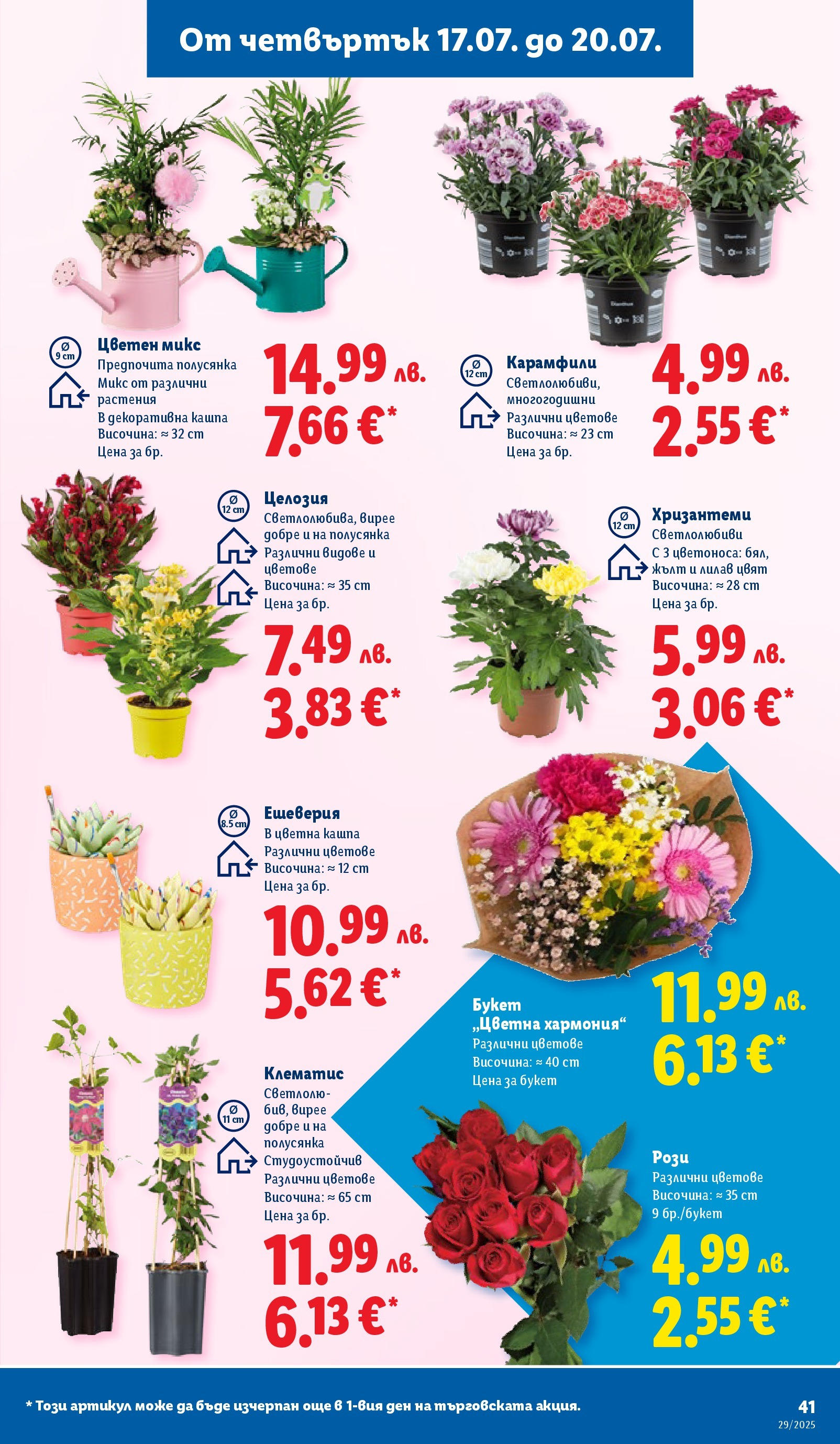 Лидл брошура от 14.07.2025 - LIDL broshura "Cедмична брошура на Лидл" | Страница: 41 | Продукти: Кашпа