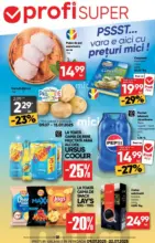 Profi Catalog Profi până în data de 22.07.2025 - până la 22-07-25