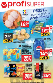 Catalog Profi până în data de 22.07.2025