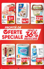 Catalog Profi până în data de 22.07.2025