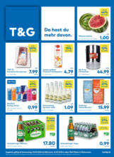 T&G: Flugblatt