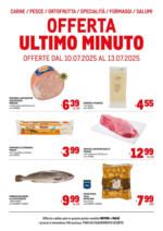 Metro Offerte freschissimi - al 13.07.2025