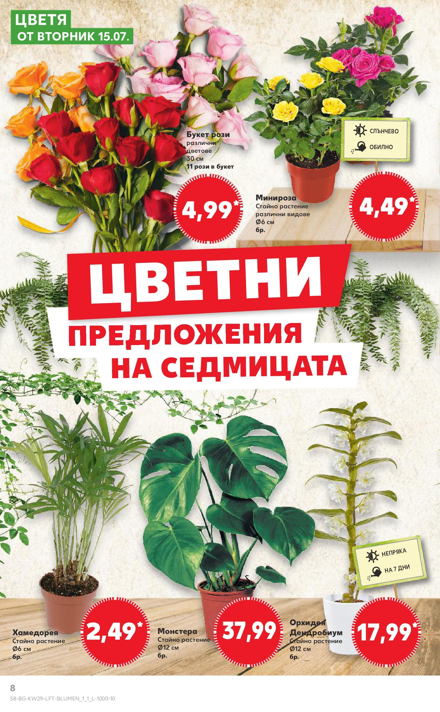 Нова Кауфланд брошура от 13.07.2025 - Кауфланд - Спестявай с MEGA марки в Kaufland с валидност до 20.07.2025 | Страница: 8 | Продукти: Орхидея Нова Кауфланд брошура от 13.07.2025 - Кауфланд - Спестявай с MEGA марки в Kaufland с валидност до 20.07.2025 | Страница: 8 | Продукти: Орхидея