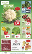 Combi - Angebote 21.07.-26.07.2025