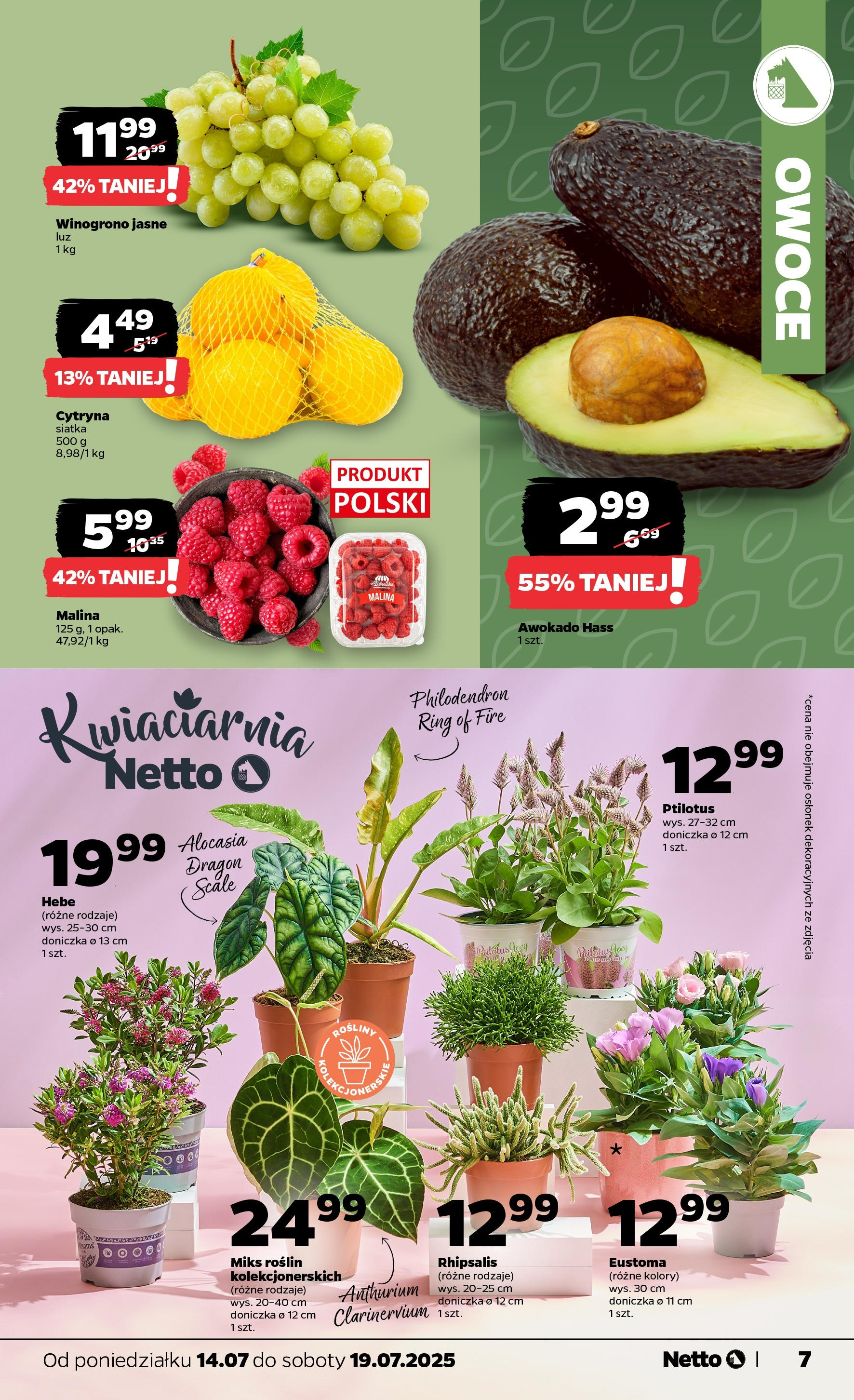 Netto gazetka - Spożywcza od 14.07.2025 - Aktualne promocje | Strona: 7 | Produkty: Siatka, Doniczka, Awokado, Owoce