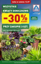 Aldi kwiaty ważne do 12.07 Aldi – do 12.07.2025