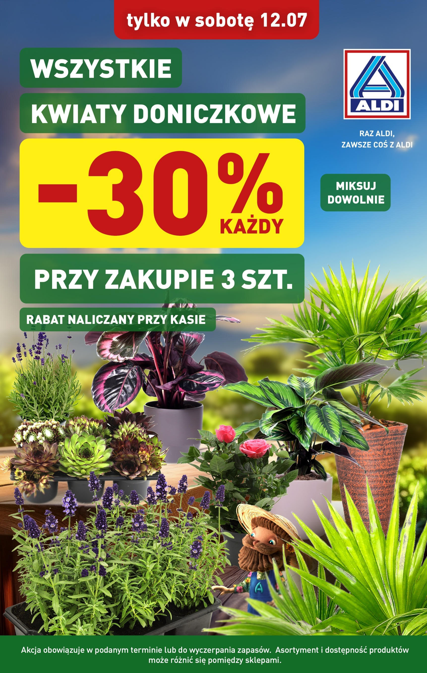 Aldi Promocja kwiaty od 12.07.2025 - Nowa Gazetka - Numer strony 1