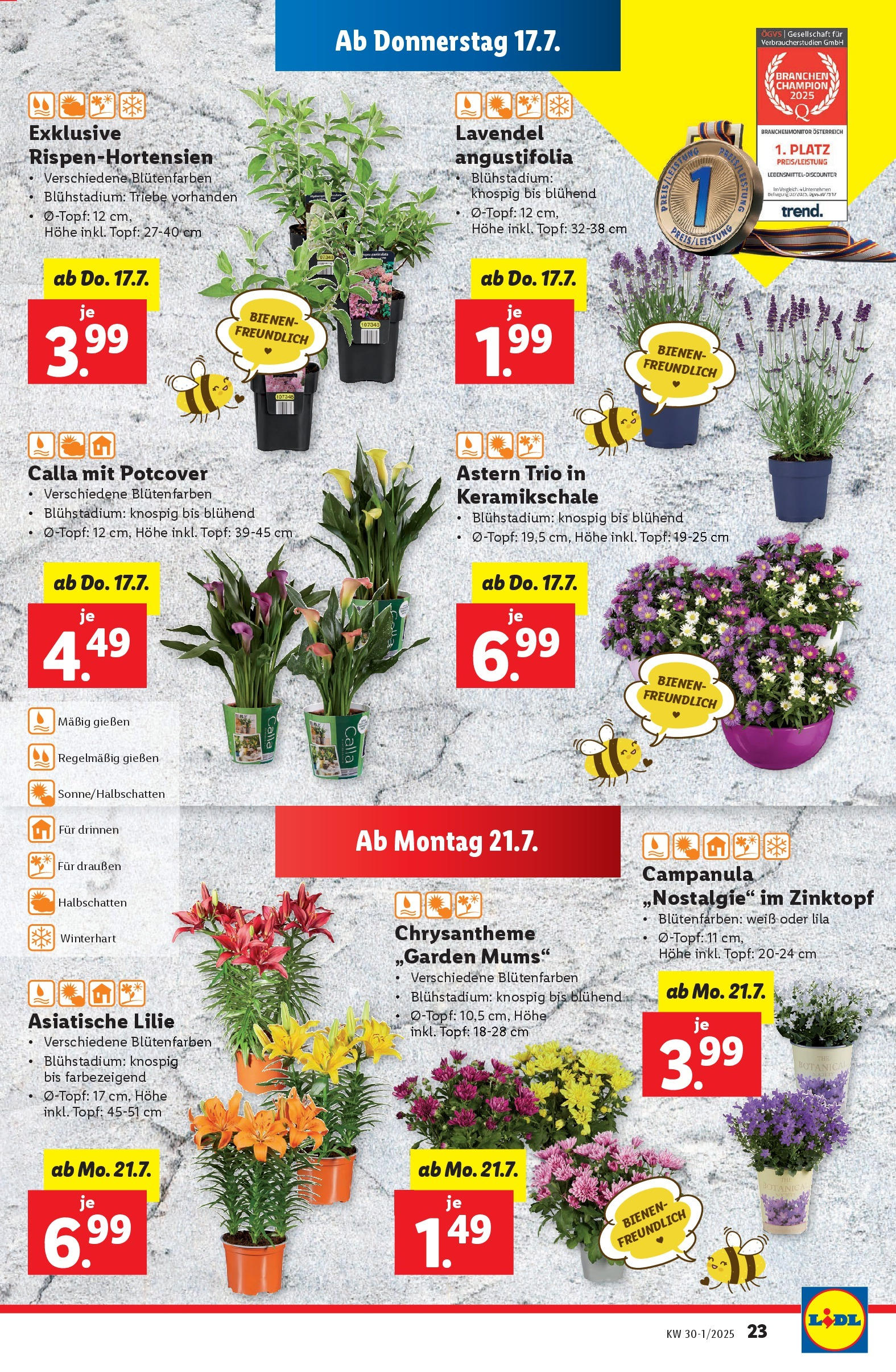 Lidl - Lidl: Flugblatt in deiner Nähe ab 16.07.2025 - Angebote ab donnerstag | Seite: 27