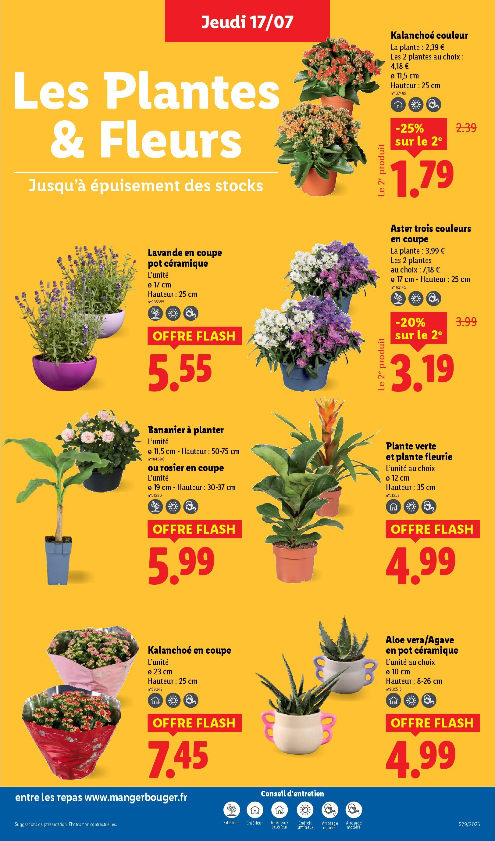 Catalogue LIDL du 16/07/2025 | Promo prospectus en ligne | Page: 29 | Produits: Lavande, Bananier, Plantes, Plante verte Catalogue LIDL du 16/07/2025 | Promo prospectus en ligne | Page: 29 | Produits: Lavande, Bananier, Plantes, Plante verte