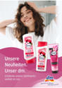 Unsere Neuheiten. Unser dm.