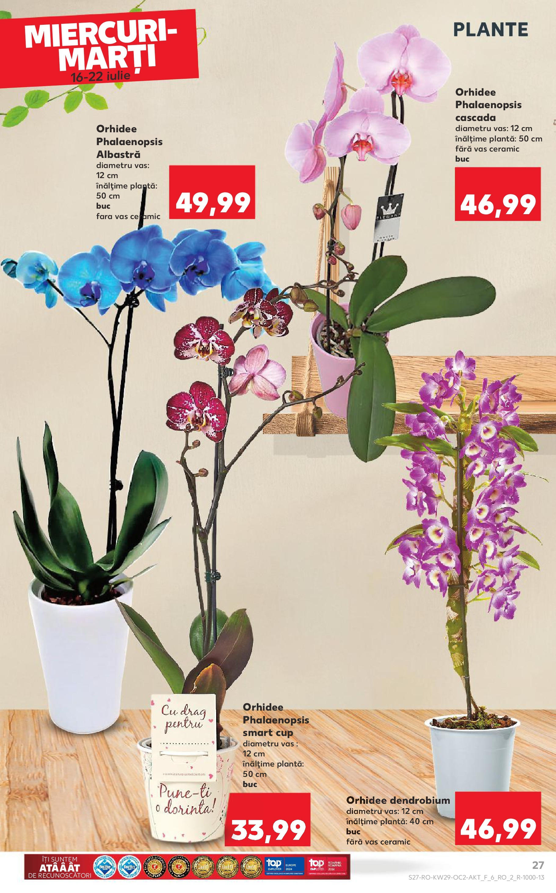 Catalog Kaufland - Sibiu 16.07.2025 || Revista si Oferte | Pagină: 27 | Produse: Orhidee Catalog Kaufland - Sibiu 16.07.2025 - Revista si Oferta | Pagină: 27 | Produse: Orhidee