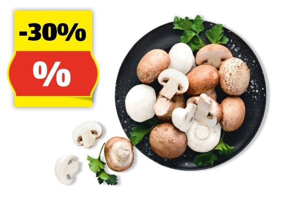 HOFER MARKTPLATZ Champignons, 500 g/300 g