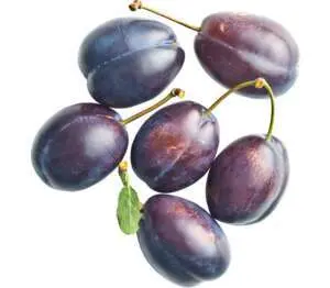 Сини сливи