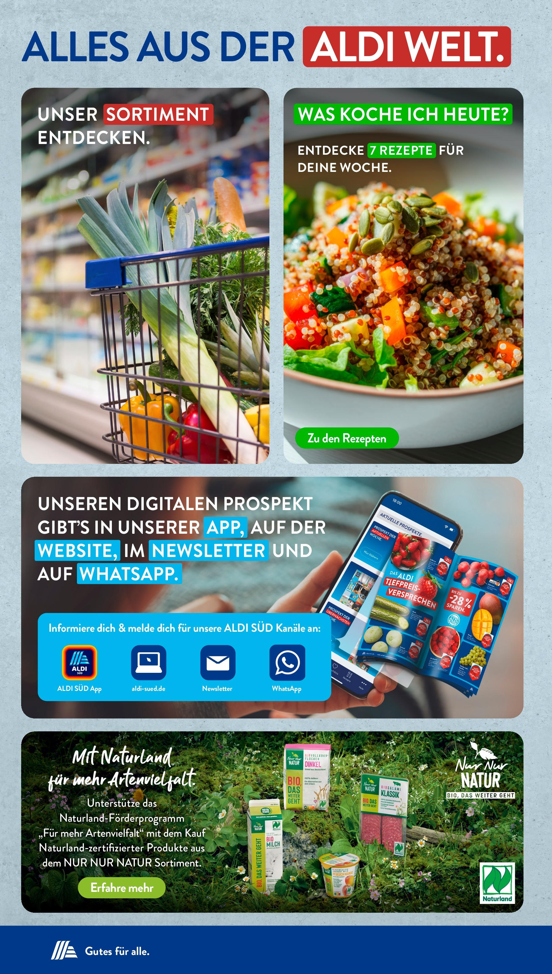 Aldi Süd Prospekt (ab 01.08.2025) zum Blättern | Seite: 44 | Produkte: Milch, Flocken Aldi Süd Prospekt (ab 01.08.2025) zum Blättern | Seite: 44 | Produkte: Milch, Flocken
