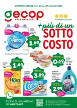 Gecop + piu di un sotto costo - al 27.07.2025