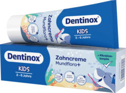 Dentinox Zahnpasta Kids Mundflora+, 2-6 Jahre