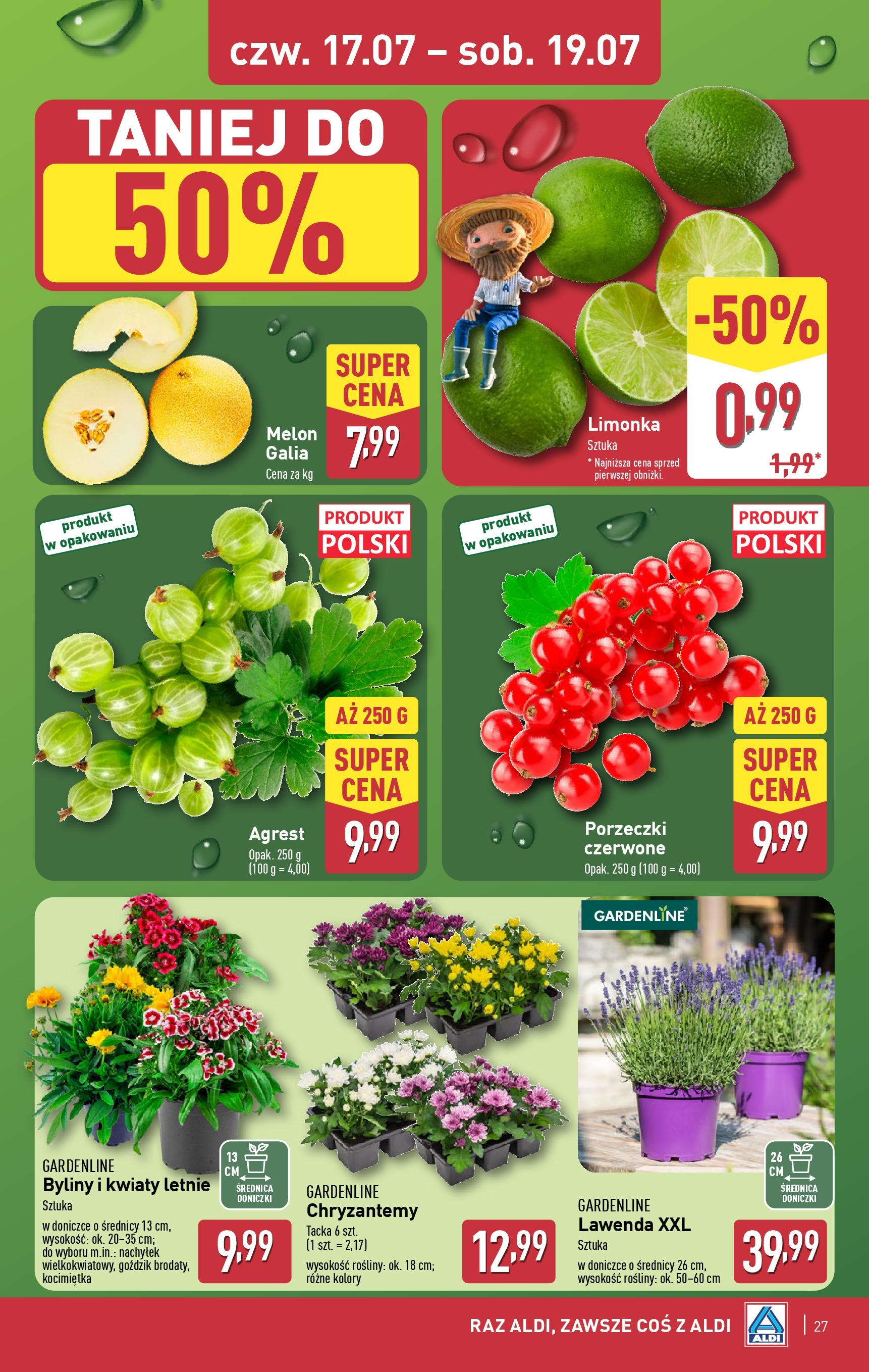 Aldi Gazetka od 14.07.2025 - Ulotka PDF, promocje | Strona: 27 | Produkty: Chryzantemy, Agrest, Doniczki, Kwiaty