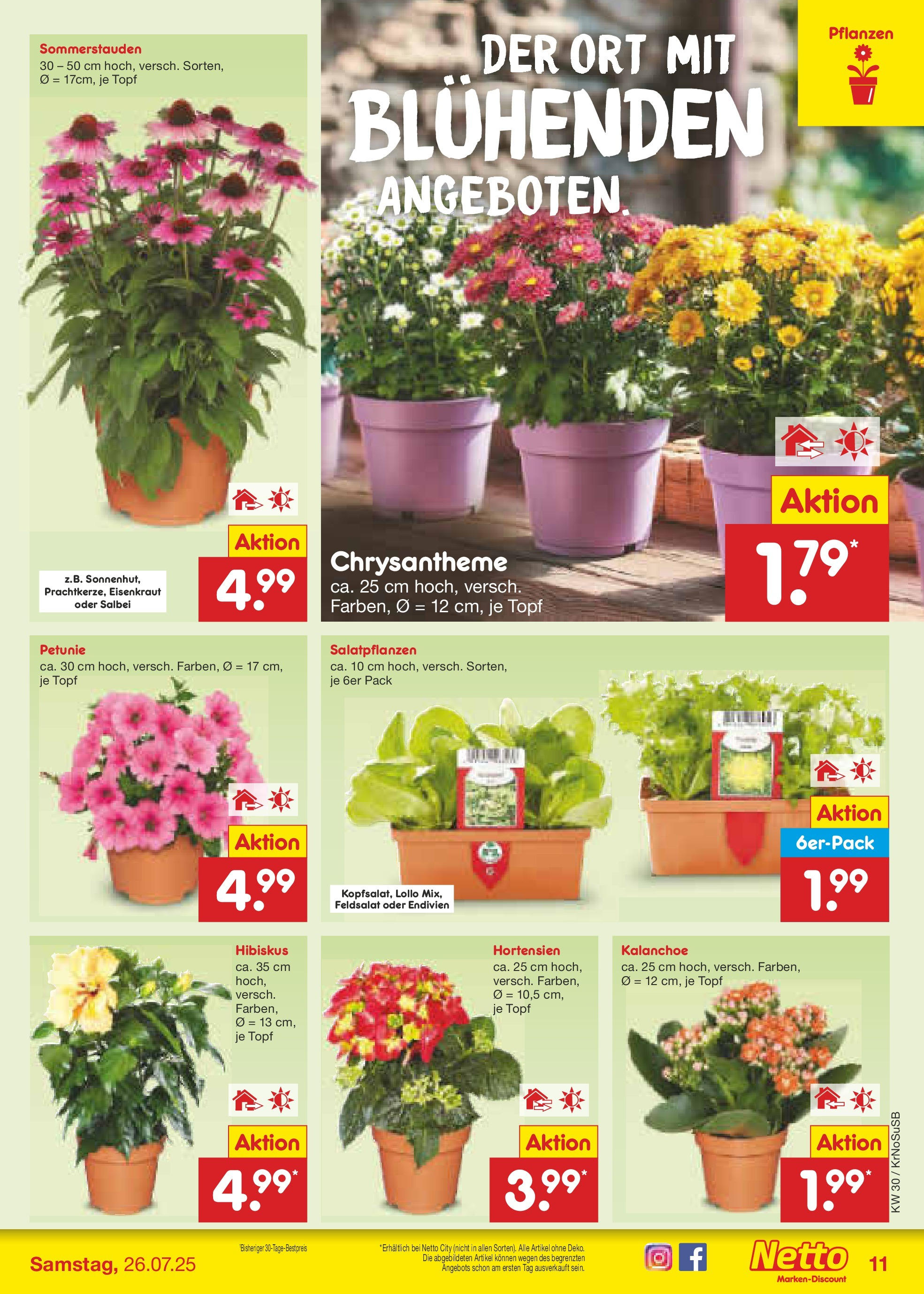 Netto Marken-Discount prospekt Duisburg	 (ab 21.07.2025) » Angebote | Seite: 13