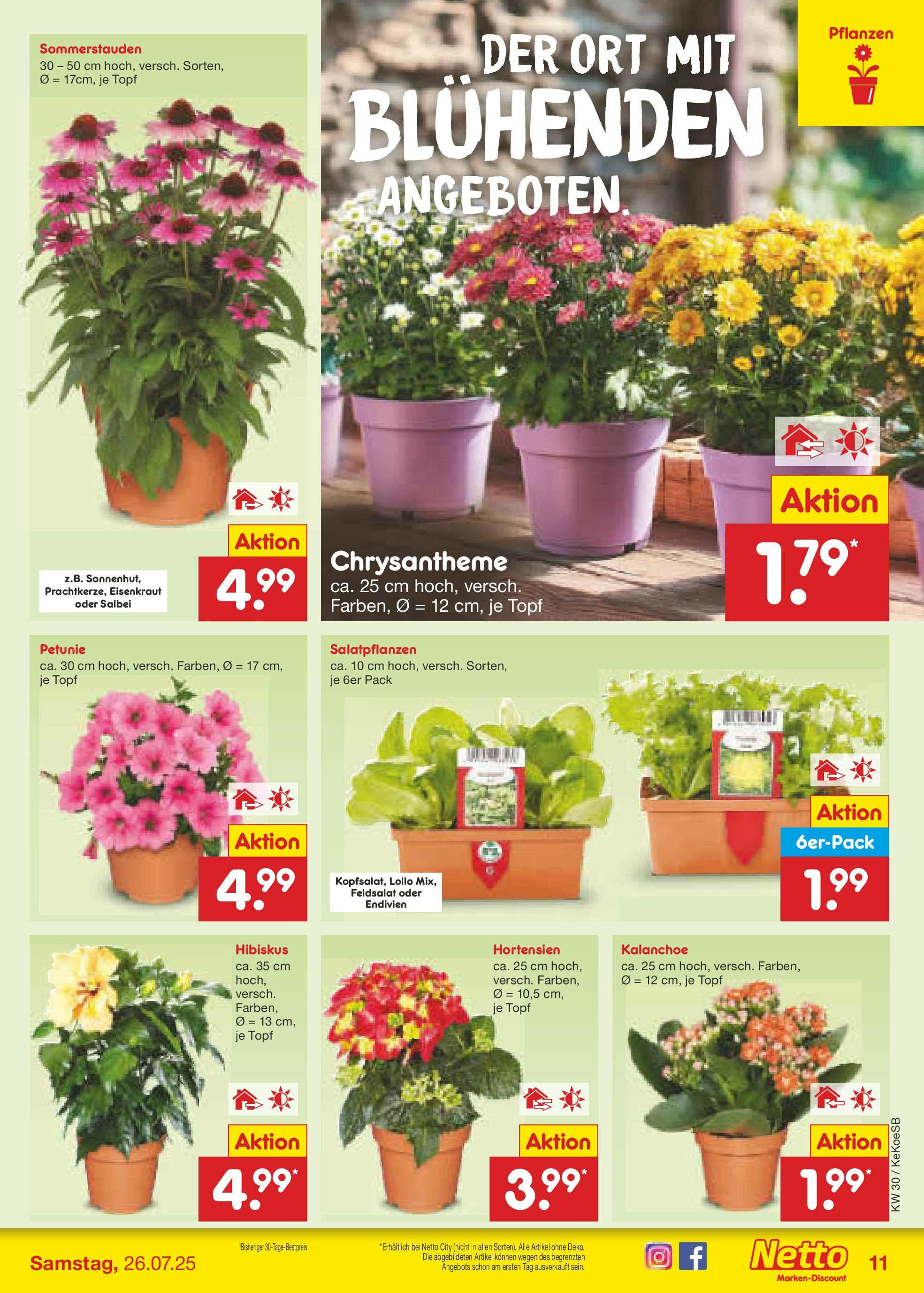 Netto Marken-Discount prospekt Köln	 (ab 21.07.2025) » Angebote | Seite: 13