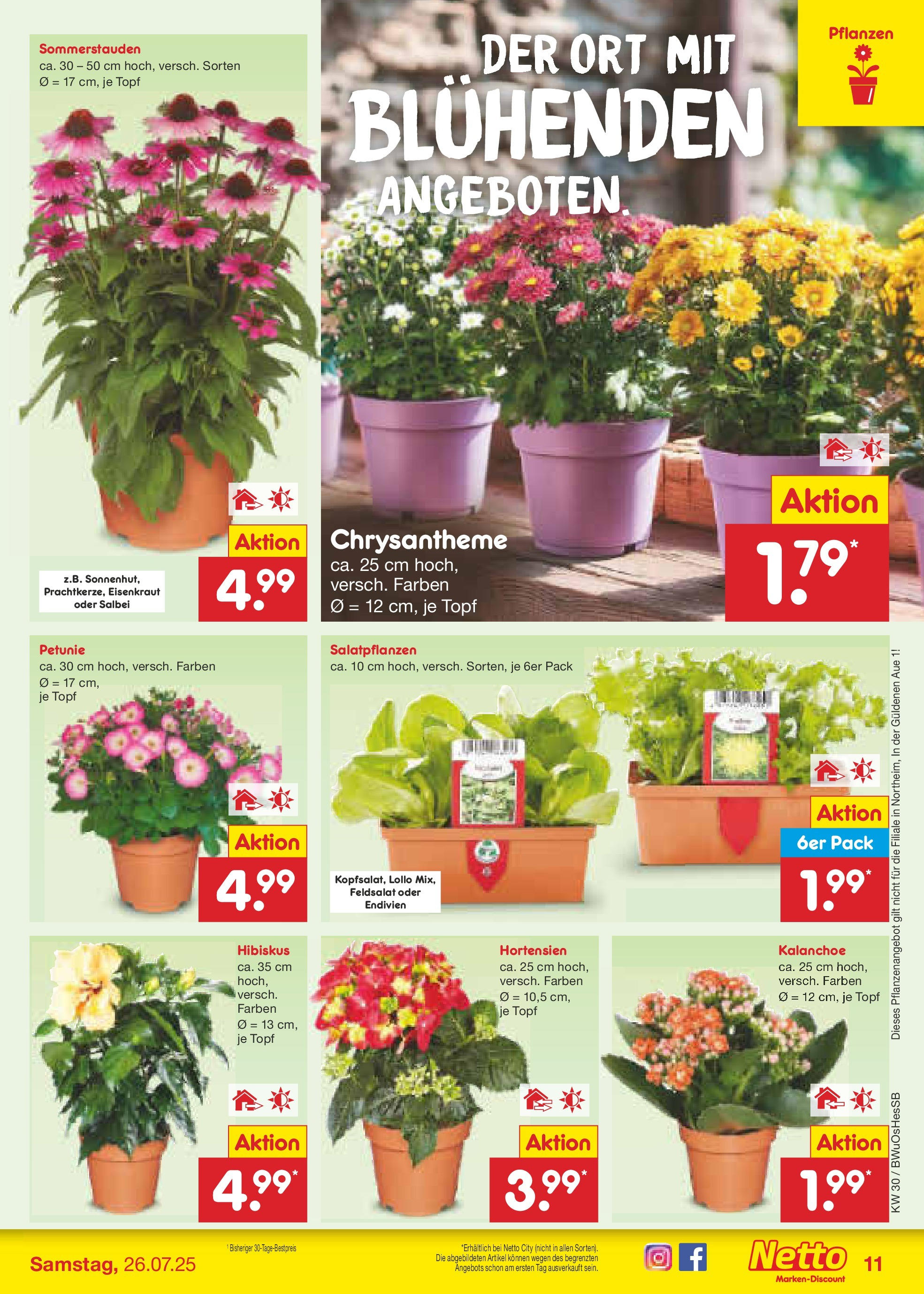 Netto Marken-Discount prospekt Osterode (ab 21.07.2025) » Angebote | Seite: 13 Netto Marken-Discount prospekt Osterode (ab 21.07.2025) » Angebote | Seite: 13