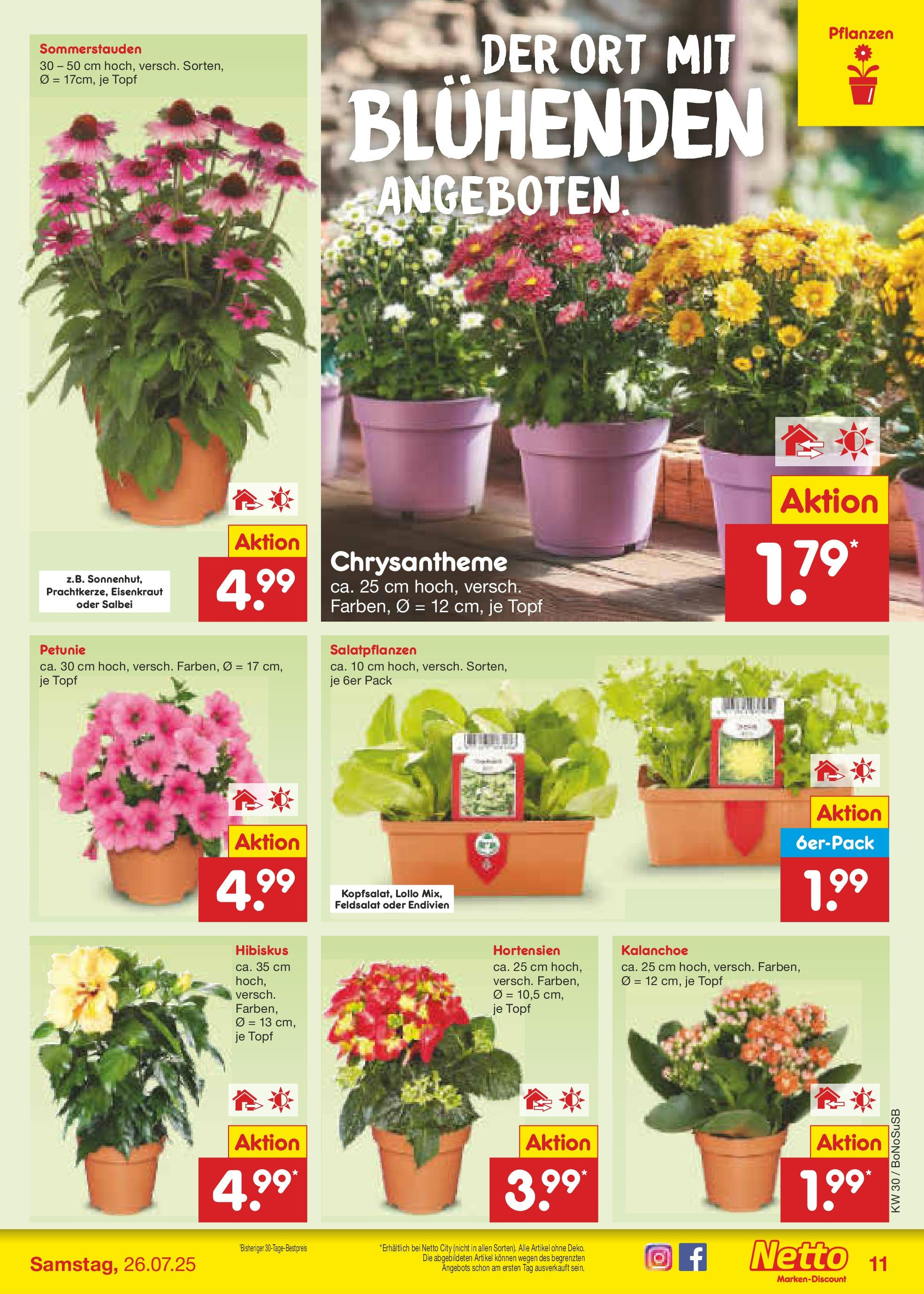 Netto Marken-Discount prospekt Stadtlohn (ab 21.07.2025) » Angebote | Seite: 13 Netto Marken-Discount prospekt Stadtlohn (ab 21.07.2025) » Angebote | Seite: 13