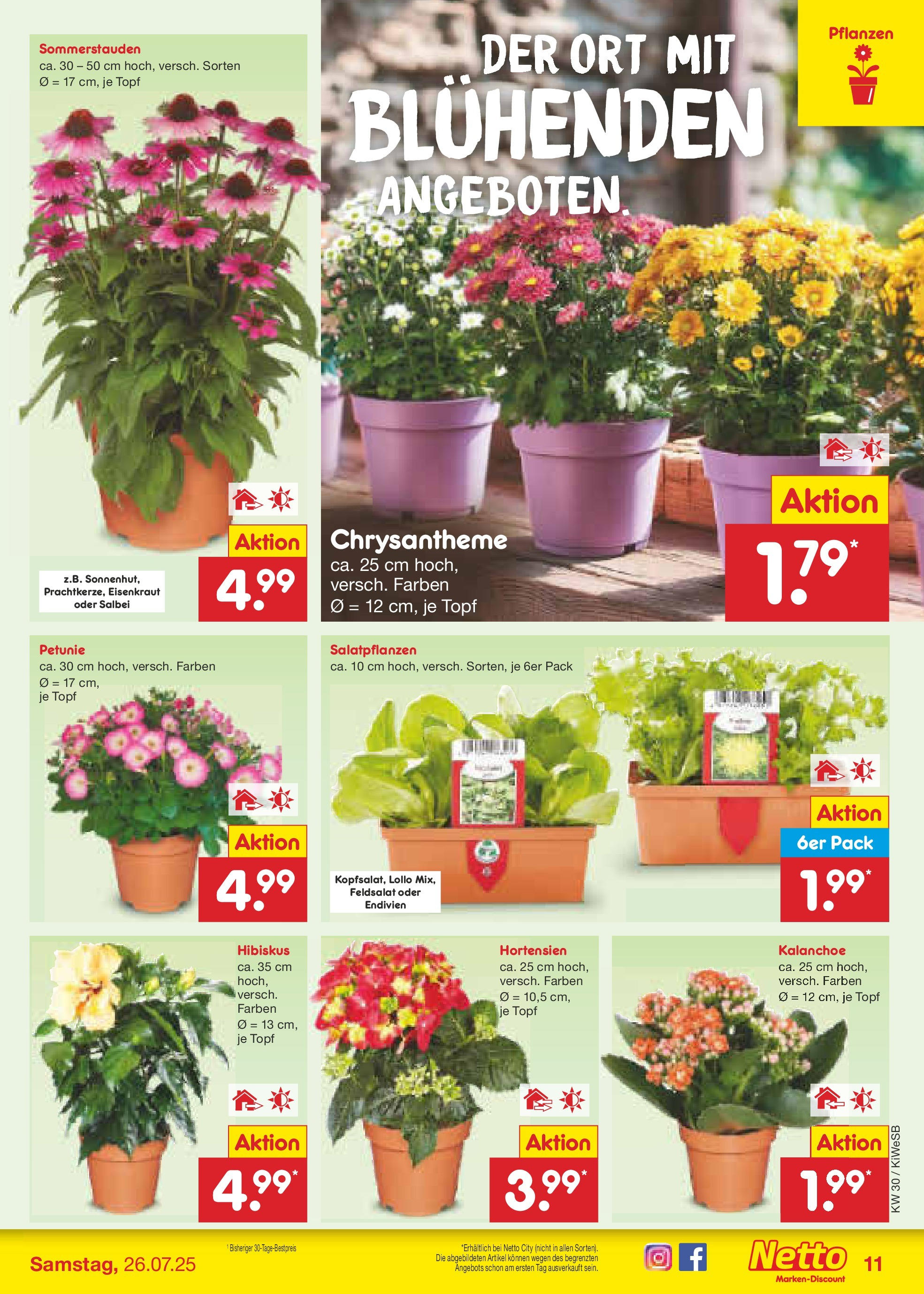 Netto Marken-Discount prospekt Bad Friedrichshall	 (ab 21.07.2025) » Angebote | Seite: 13