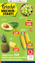 HOFER HOFER: Flugblatt - ab 18.07.2025