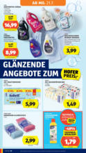 HOFER HOFER: Flugblatt - ab 18.07.2025