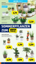 HOFER HOFER: Flugblatt - ab 18.07.2025