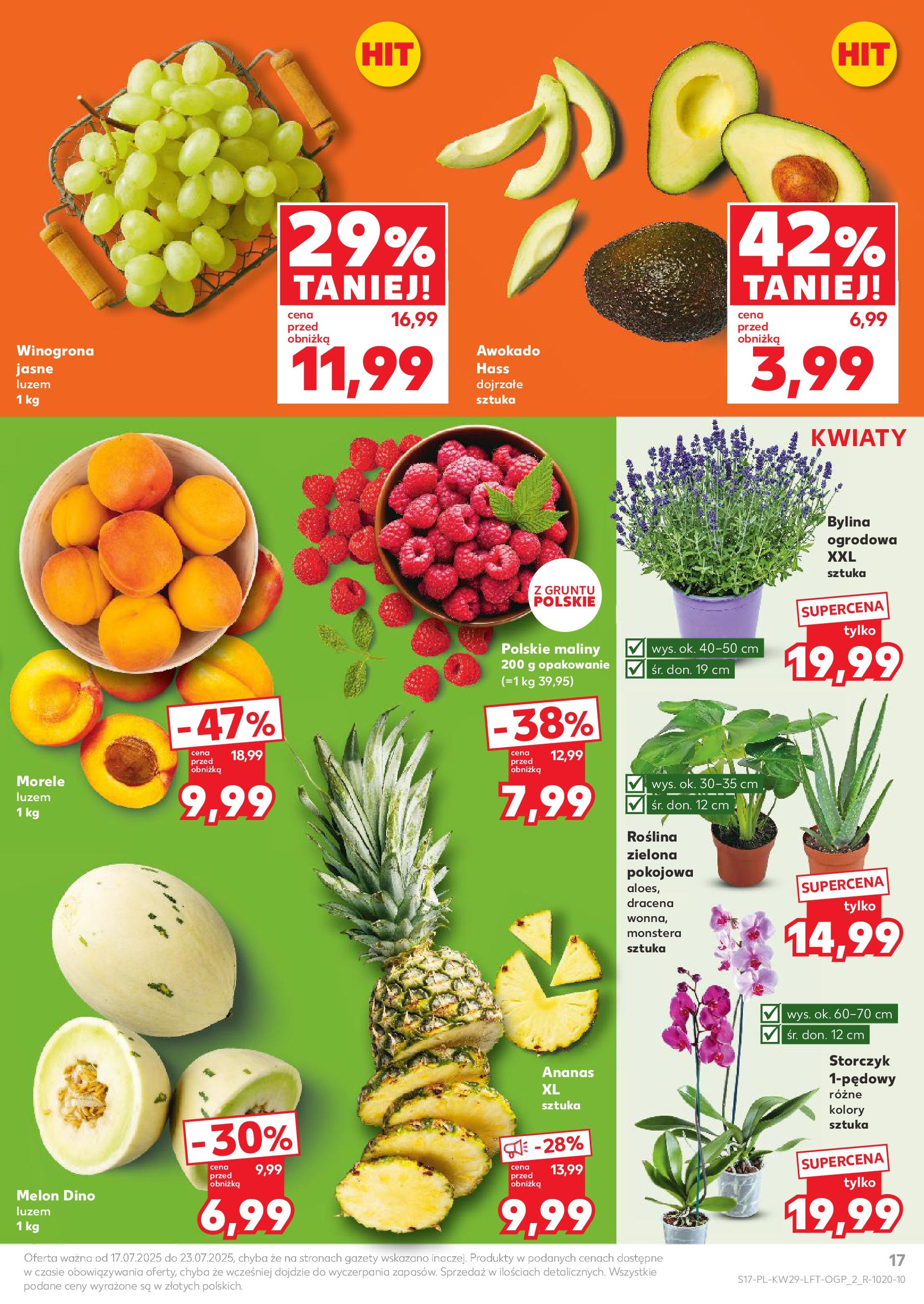 Kaufland gazetka od 17.07.2025 - od jutra PDF | Strona: 17 | Produkty: Melon, Maliny, Storczyk, Awokado