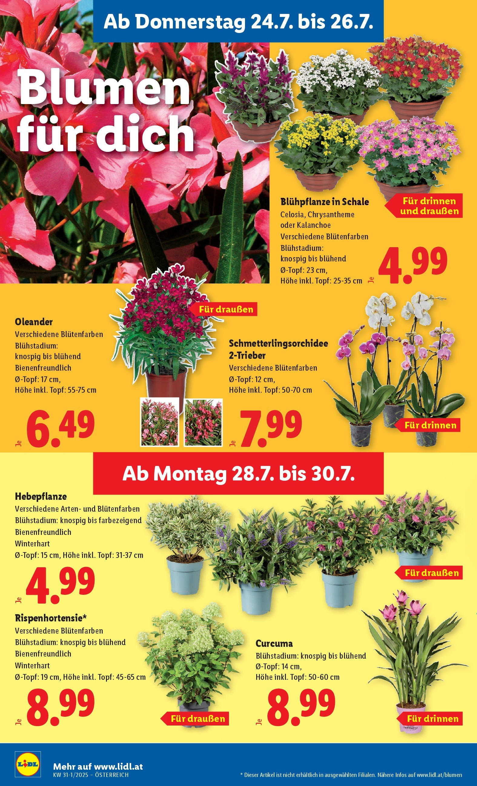 Lidl Flugblatt - Wien ab 24.07.2025 ✳️ Angebote ab donnerstag | Seite: 28 Lidl Flugblatt - Wien ab 24.07.2025 - Angebote ab donnerstag | Seite: 28