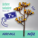 Noz ARRIVAGE Arbre solaire - au 24.07.2025