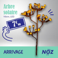 ARRIVAGE Arbre solaire