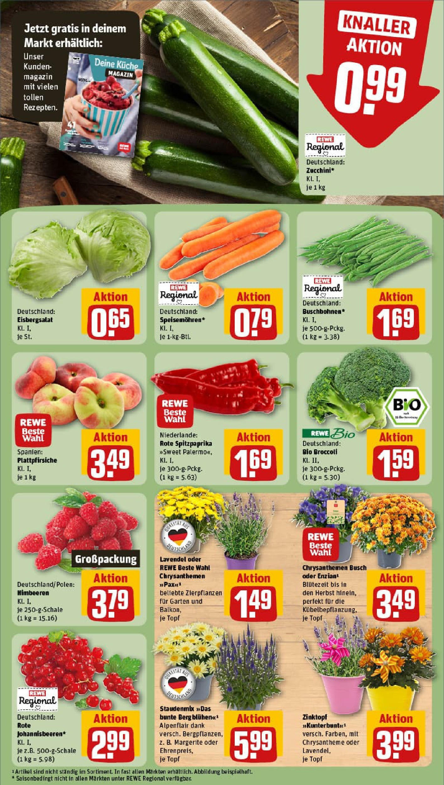 REWE Prospekt ab 20.07.2025 zum Blättern » Angebote | Seite: 7 | Produkte: Küche, Eisbergsalat, Zucchini, Lavendel