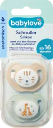 babylove Schnuller Silikon anatomisch, beige/mint, Gr. 3, ab 16 Monaten