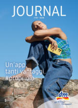Journal