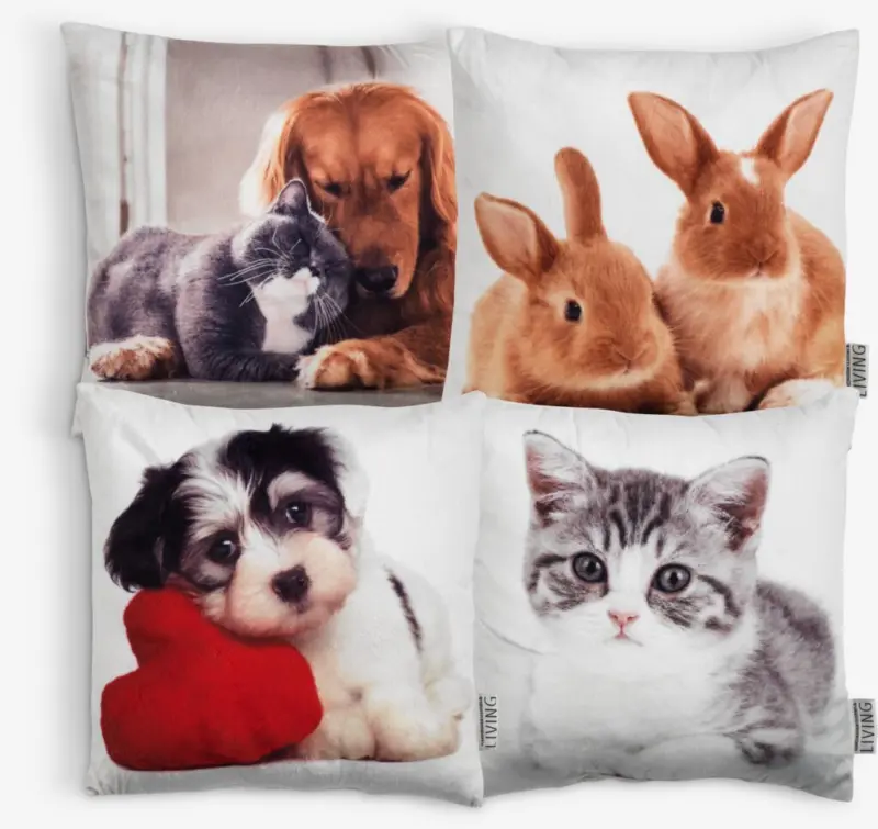 JYSK Pernă FLADSTJERNE 30x30 var.