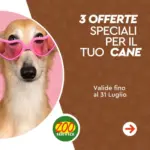 Zoo Service 3 offerte speciali per il tuo cane - al 31.07.2025