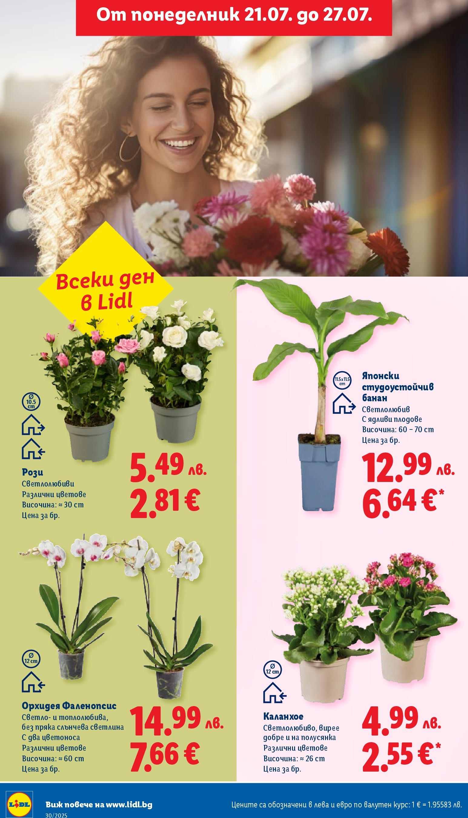 Лидл брошура от 21.07.2025 - LIDL broshura "Cедмична брошура на Лидл" | Страница: 48 | Продукти: Плодове, Орхидея