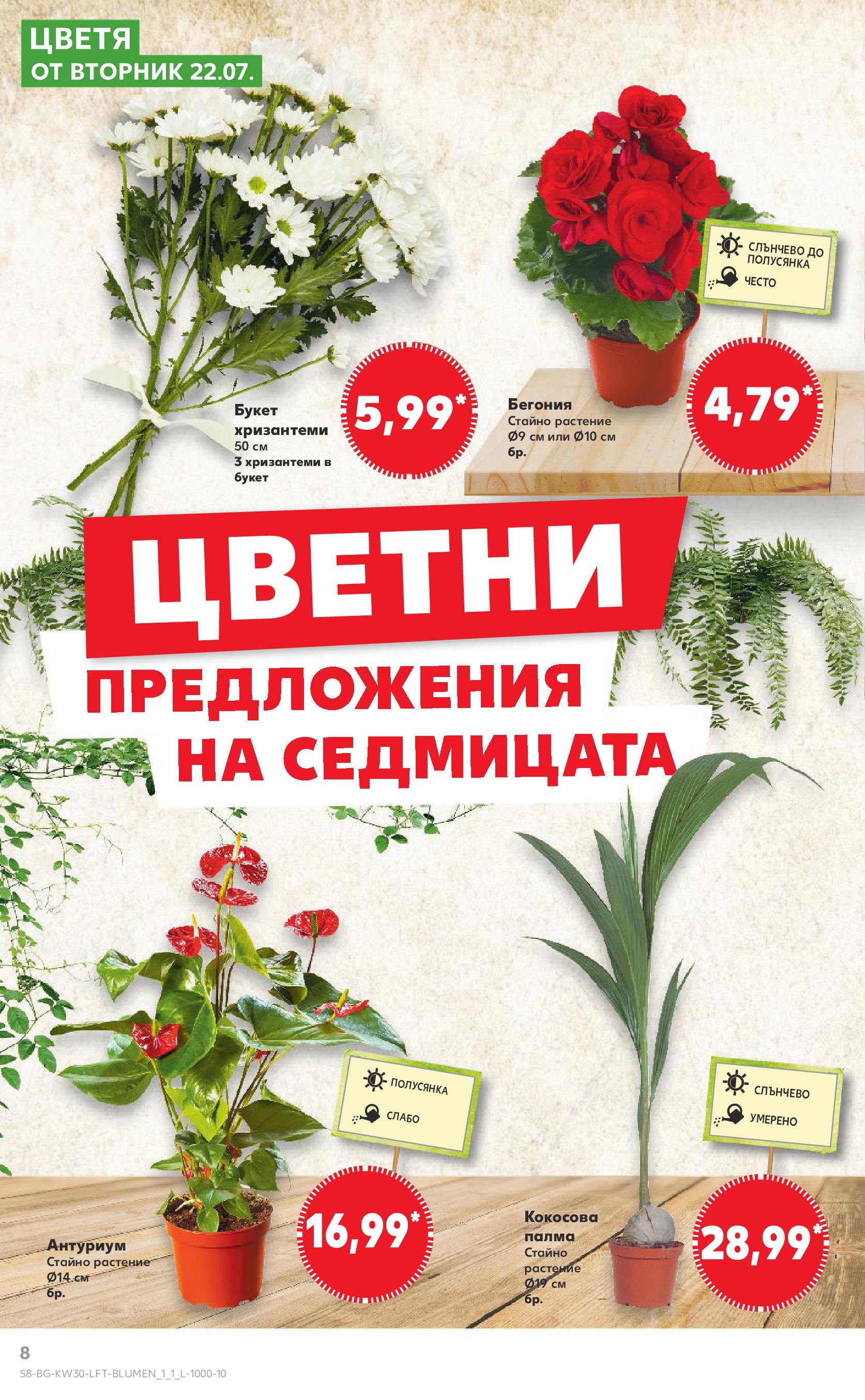 Нова Кауфланд брошура от 21.07.2025 - Cедмична брошура на Кауфланд | Страница: 8 | Продукти: Палма Нова Кауфланд брошура от 21.07.2025 - Cедмична брошура на Кауфланд | Страница: 8 | Продукти: Палма